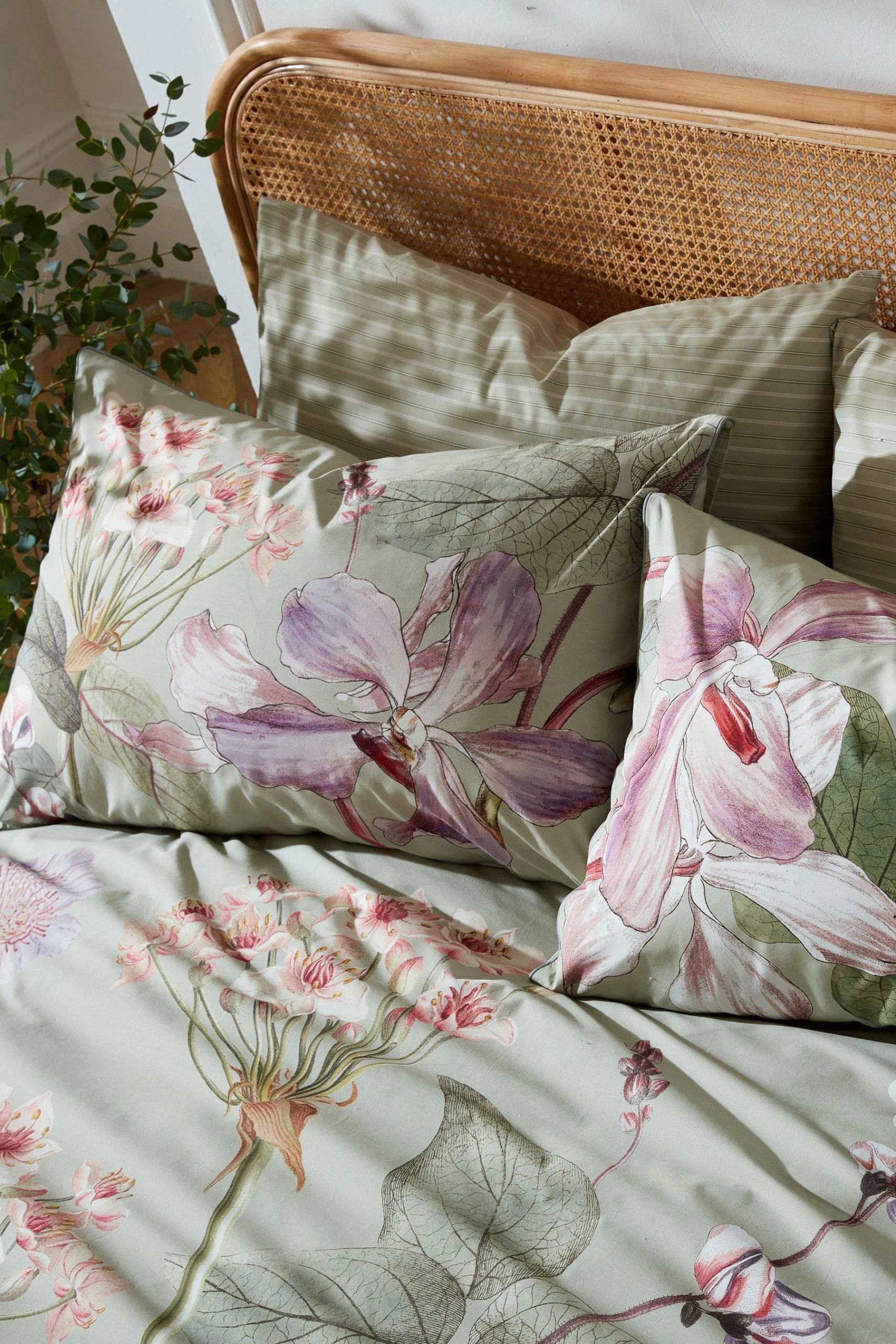 Kew Gardens Calantha Duvet Cover And Pillowcase Set 4 Kew Gardens Calantha Duvet Cover And Pillowcase Set - Image 2