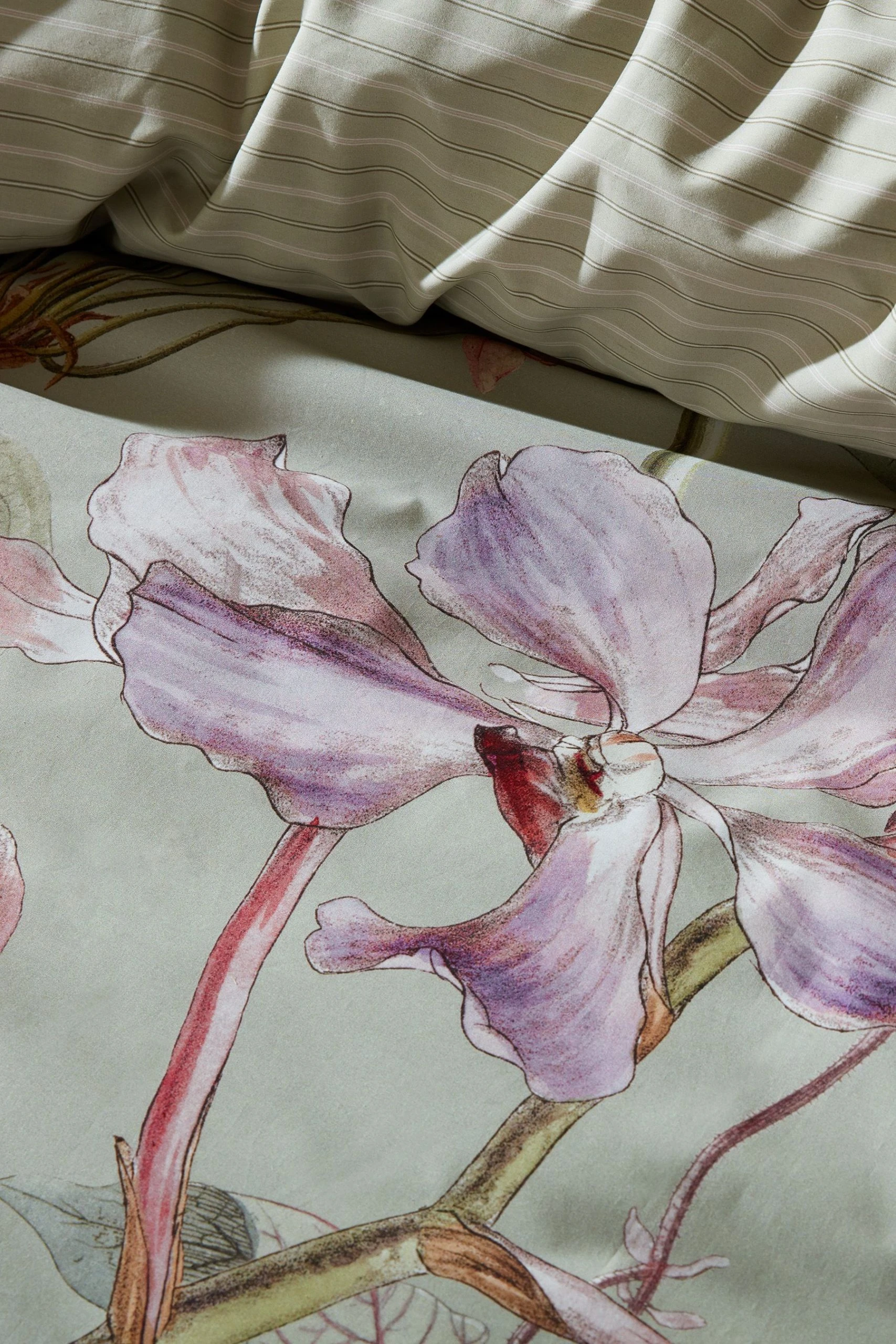 Kew Gardens Calantha Duvet Cover And Pillowcase Set 5 Kew Gardens Calantha Duvet Cover And Pillowcase Set - Image 3